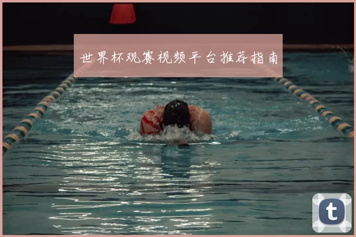 世界杯观赛视频平台推荐指南