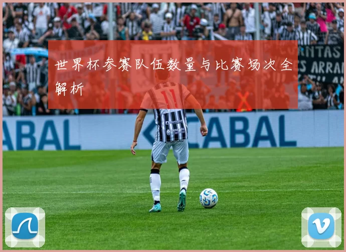 世界杯参赛队伍数量与比赛场次全解析