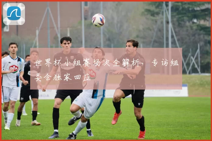 世界杯小组赛场次全解析,专访组委会独家回应
