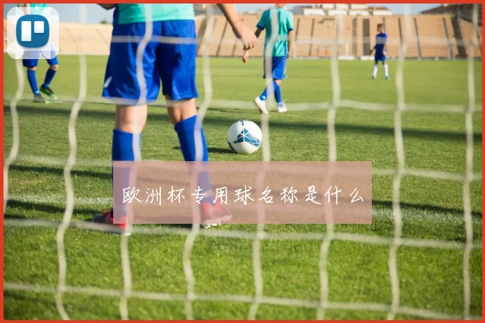 欧洲杯专用球名称是什么