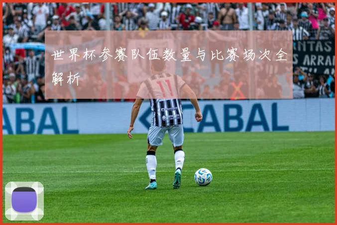 世界杯参赛队伍数量与比赛场次全解析