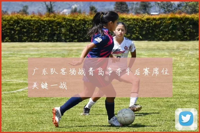 广东队客场战青岛争夺季后赛席位关键一战