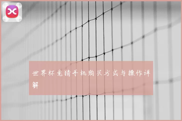 世界杯竞猜手机购买方式与操作详解