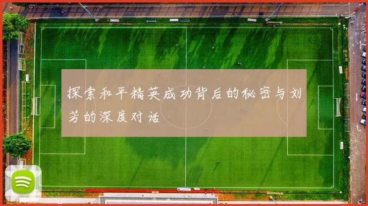 探索和平精英成功背后的秘密与刘芳的深度对话