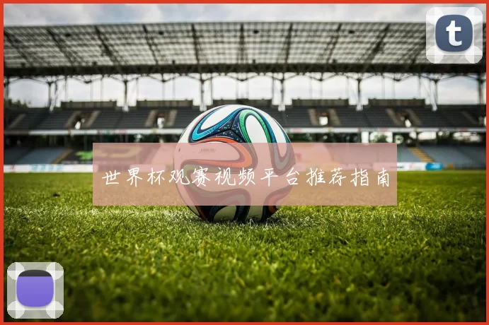 世界杯观赛视频平台推荐指南