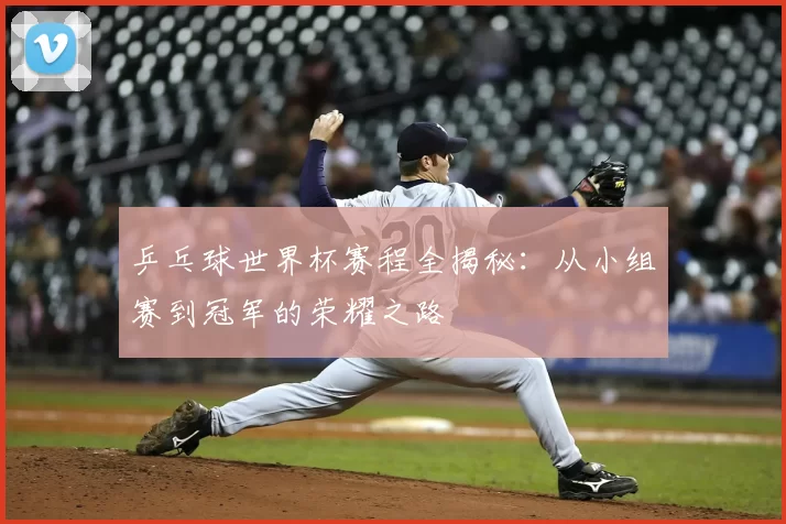 乒乓球世界杯赛程全揭秘:从小组赛到冠军的荣耀之路