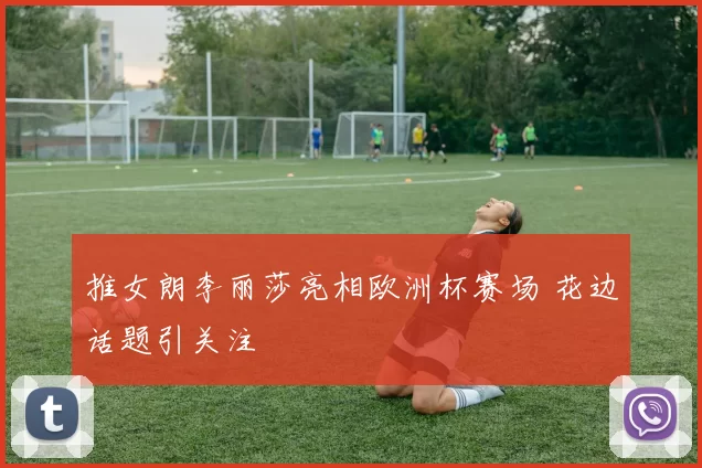 推女朗李丽莎亮相欧洲杯赛场 花边话题引关注