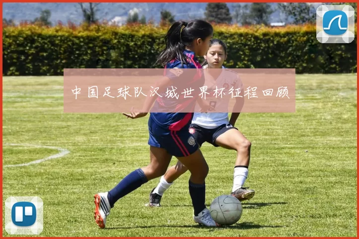 中国足球队汉城世界杯征程回顾