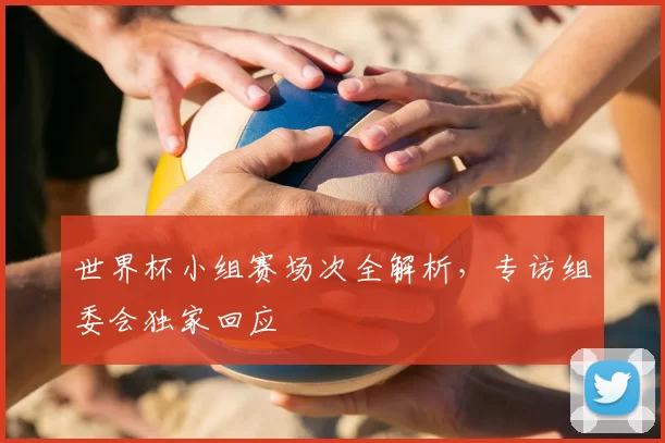 世界杯小组赛场次全解析,专访组委会独家回应