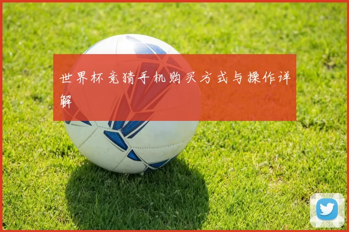 世界杯竞猜手机购买方式与操作详解