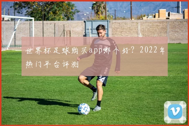 世界杯足球购买app哪个好?2022年热门平台评测