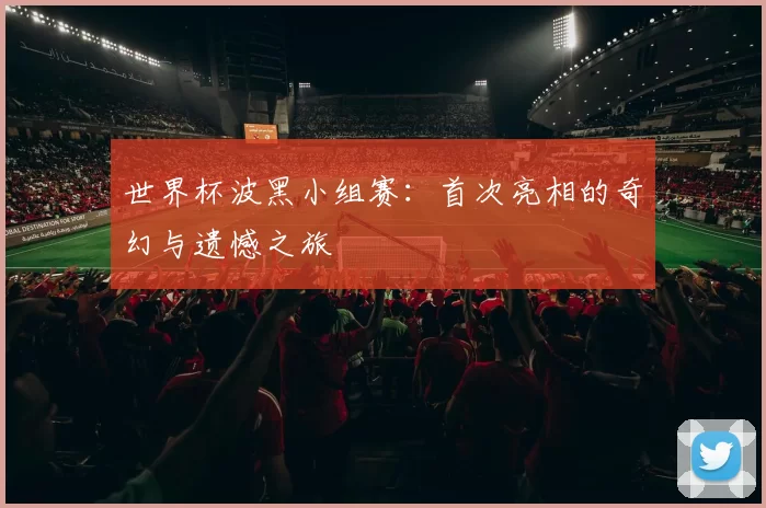 世界杯波黑小组赛:首次亮相的奇幻与遗憾之旅