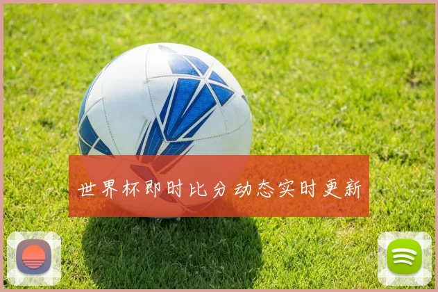 世界杯即时比分动态实时更新