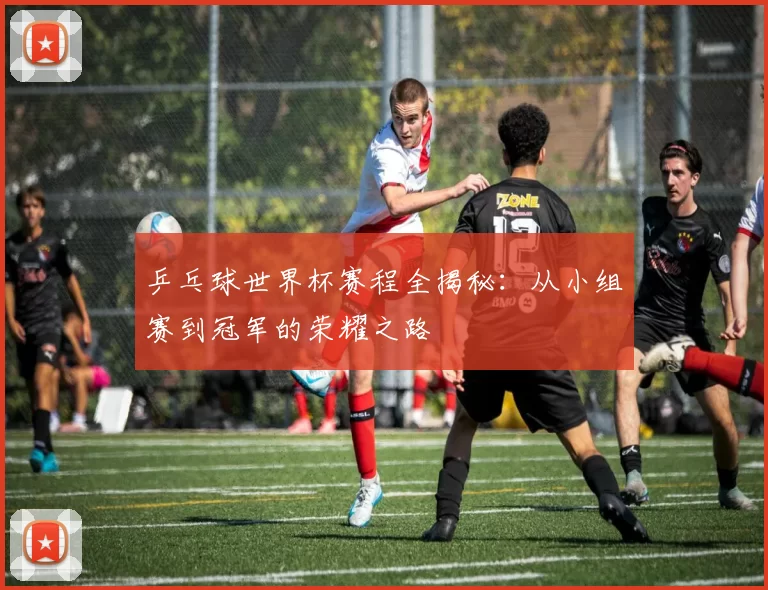 乒乓球世界杯赛程全揭秘:从小组赛到冠军的荣耀之路